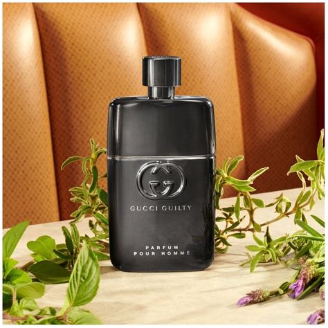 cheapest gucci guilty pour homme|Gucci Guilty Pour homme fragrantica.